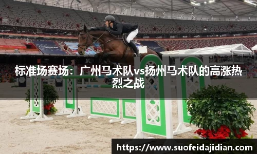 标准场赛场：广州马术队vs扬州马术队的高涨热烈之战