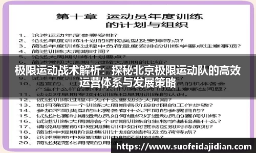极限运动战术解析：探秘北京极限运动队的高效运营体系与发展策略