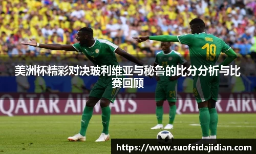 美洲杯精彩对决玻利维亚与秘鲁的比分分析与比赛回顾